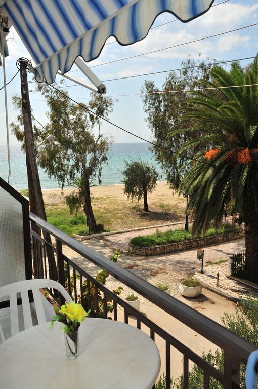 Seaside Studios Paralia Dionysiou Bilik gambar